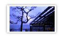 pangyo deck pergola 0110.JPG